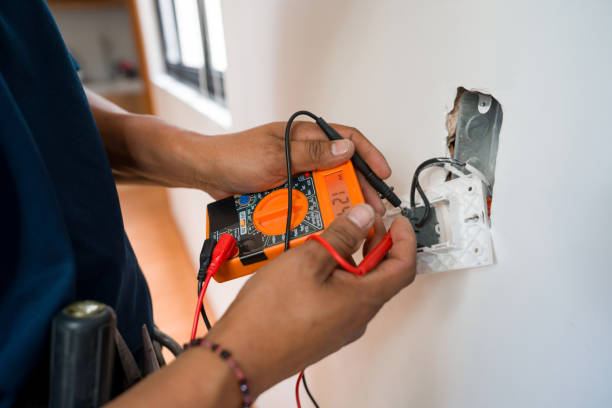 Best Electrical Rewiring Services  in Homer, MI