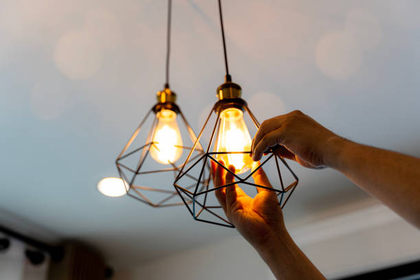 Best Electric Panel Repair  in Homer, MI