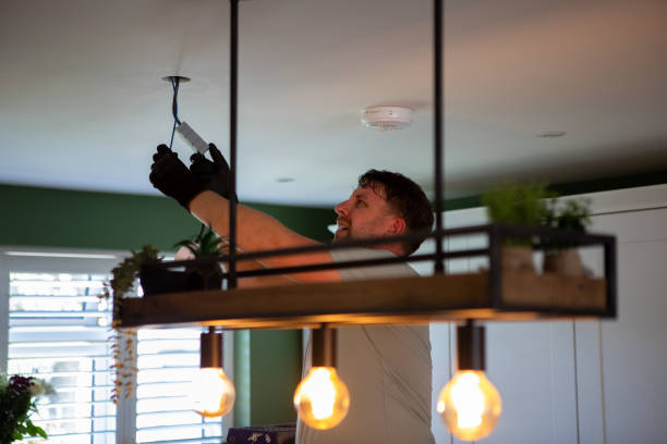 Best Ceiling Fan Installation Electrician  in Homer, MI