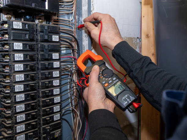 Best Electrician Near Me  in Homer, MI